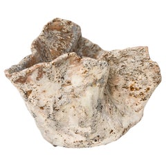 A. Winter Wood Vessel I