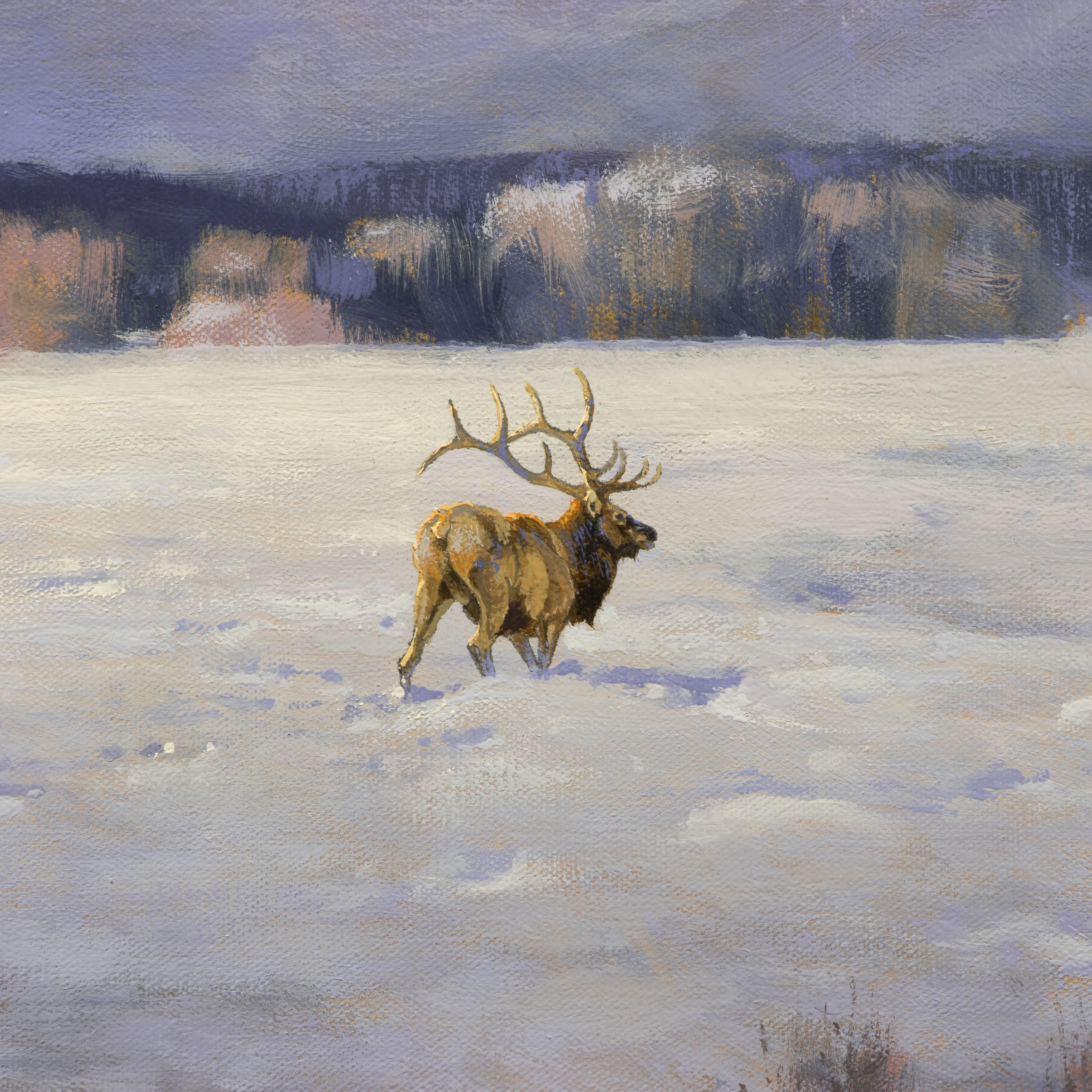 Peint à la main Peinture à l'huile originale « Winter's Expanse » de Greg Parker en vente