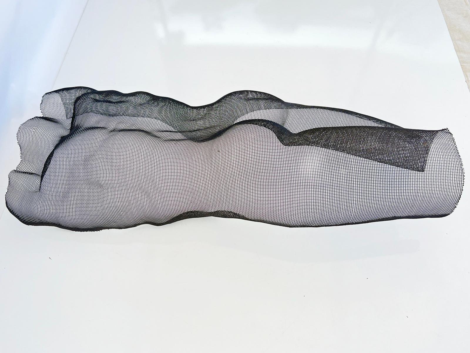 Escultura desnudo masculino de malla metálica para colgar en la pared, de Eric Boyer Estadounidense en venta