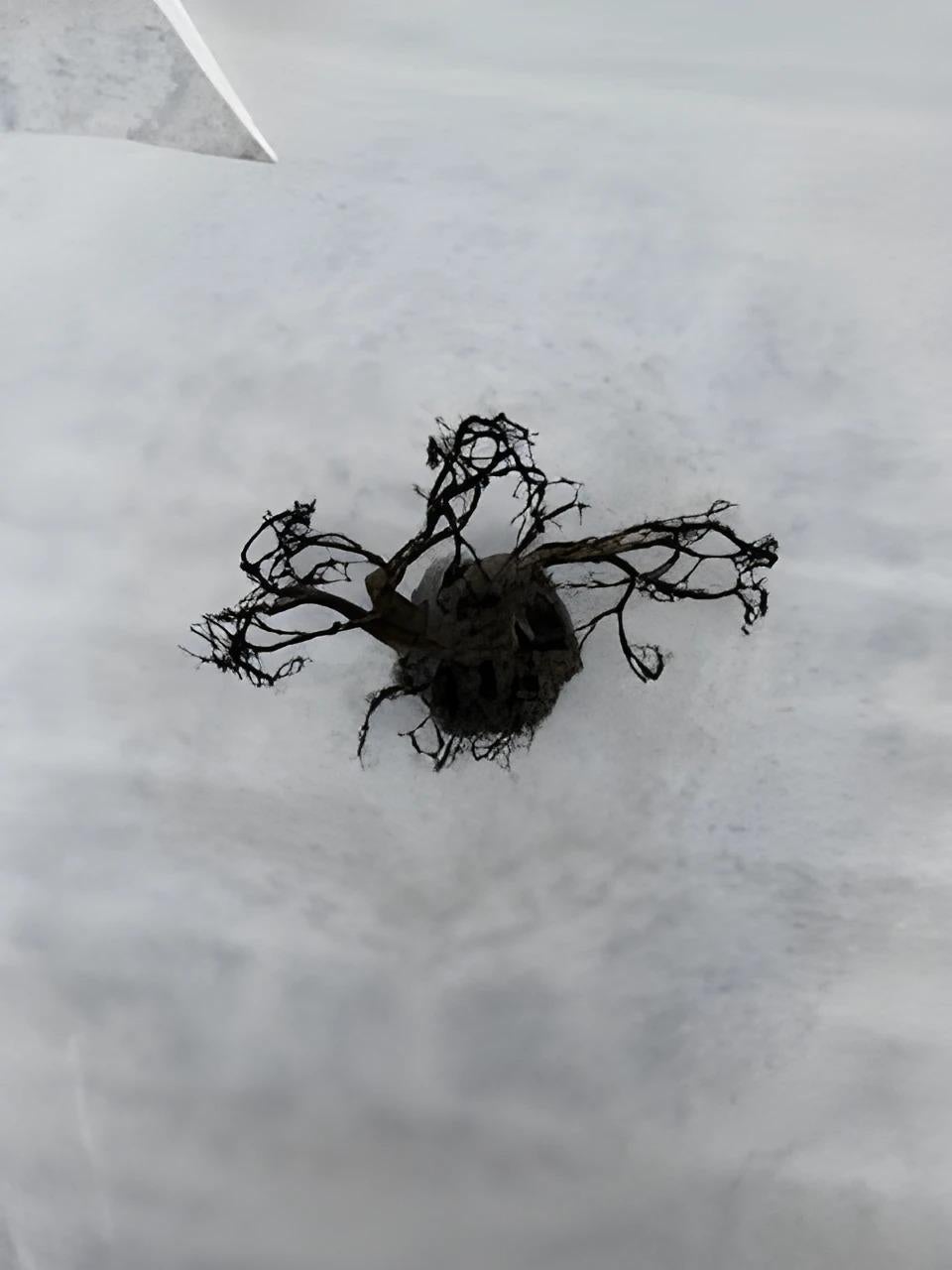 Metal Wire tree of life metal sculpture For Sale