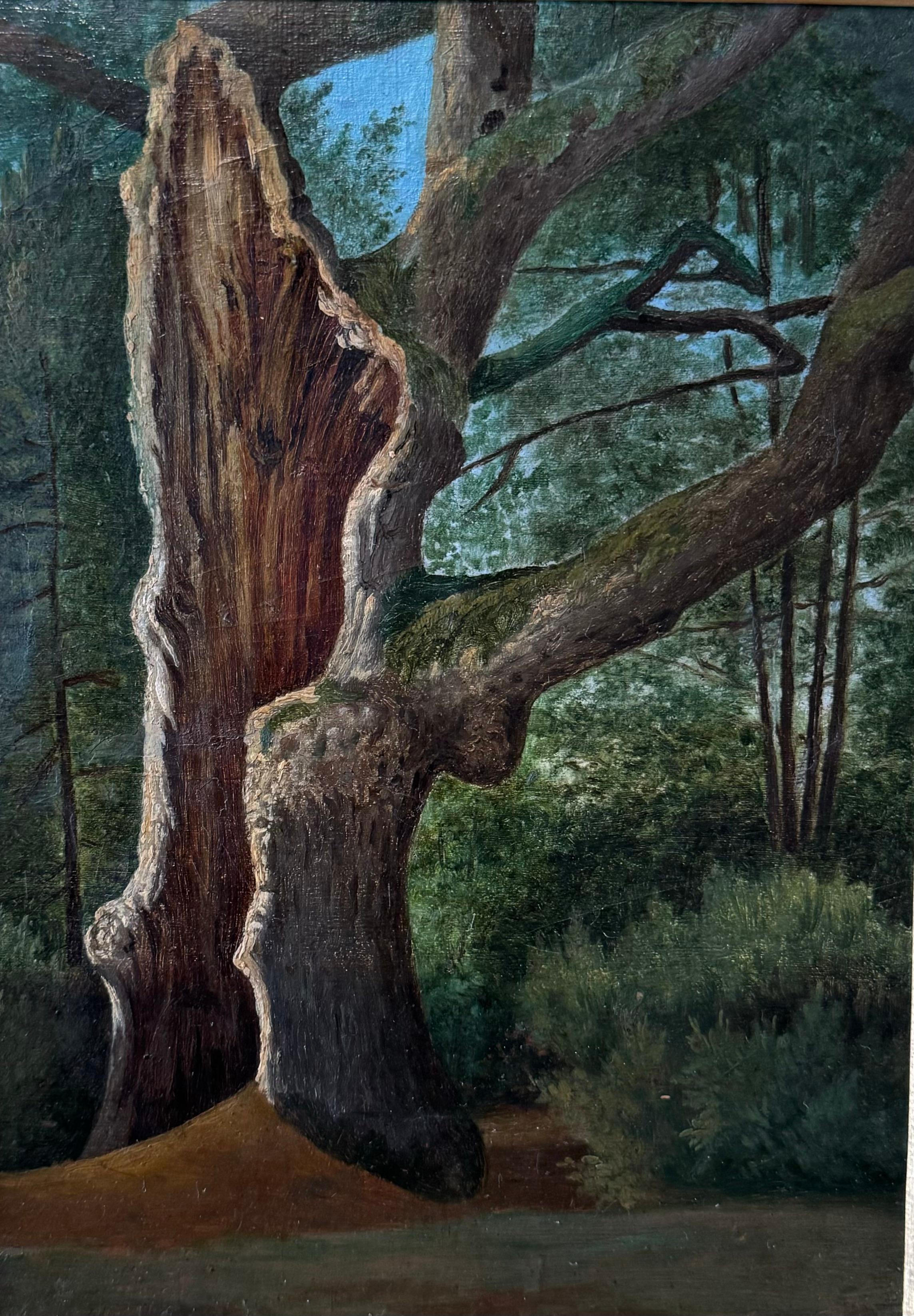 23 Landscapes of South of France For Sale 4