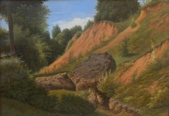 Paysage rocheux