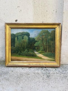 Vue sur la forêt