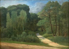 Vue sur la forêt