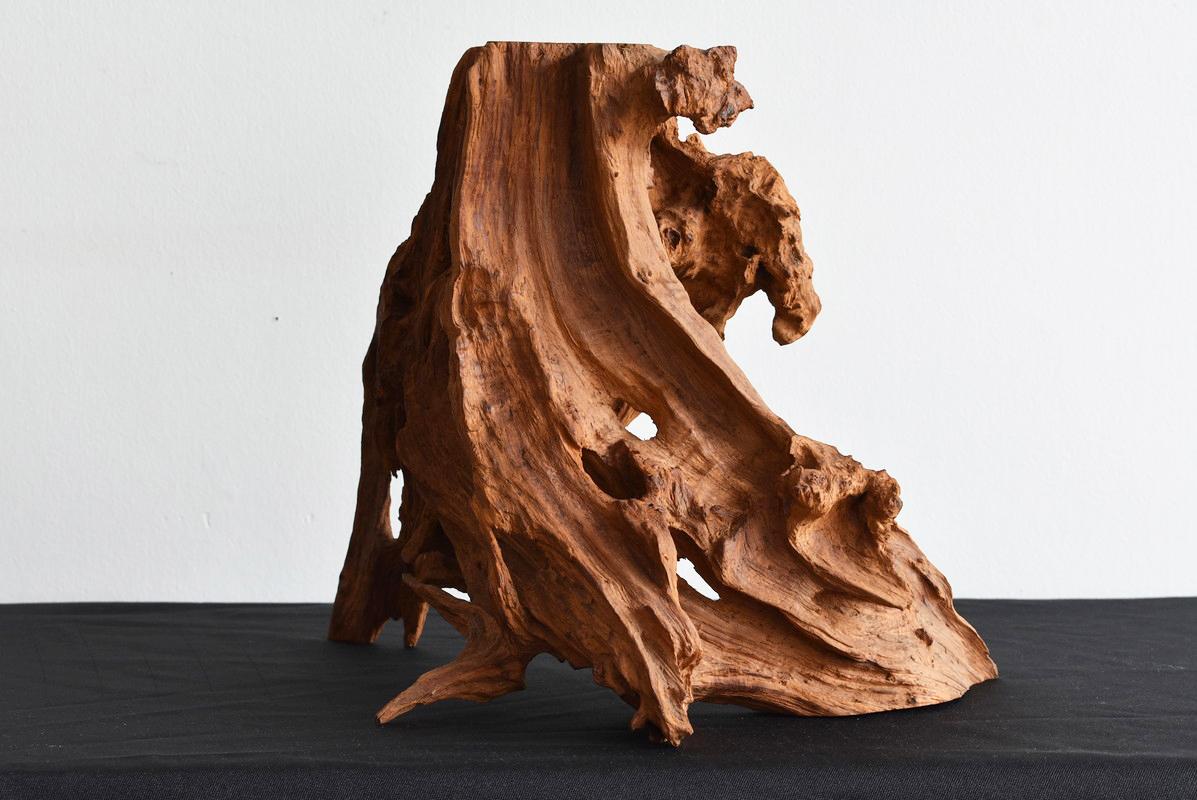 It is an object that uses the roots of an old tree.
It has an artistic form that looks like it has been withered and carved.

It was probably made as a figurine.
Firmly independent.

How about putting an object with such a special shape in the