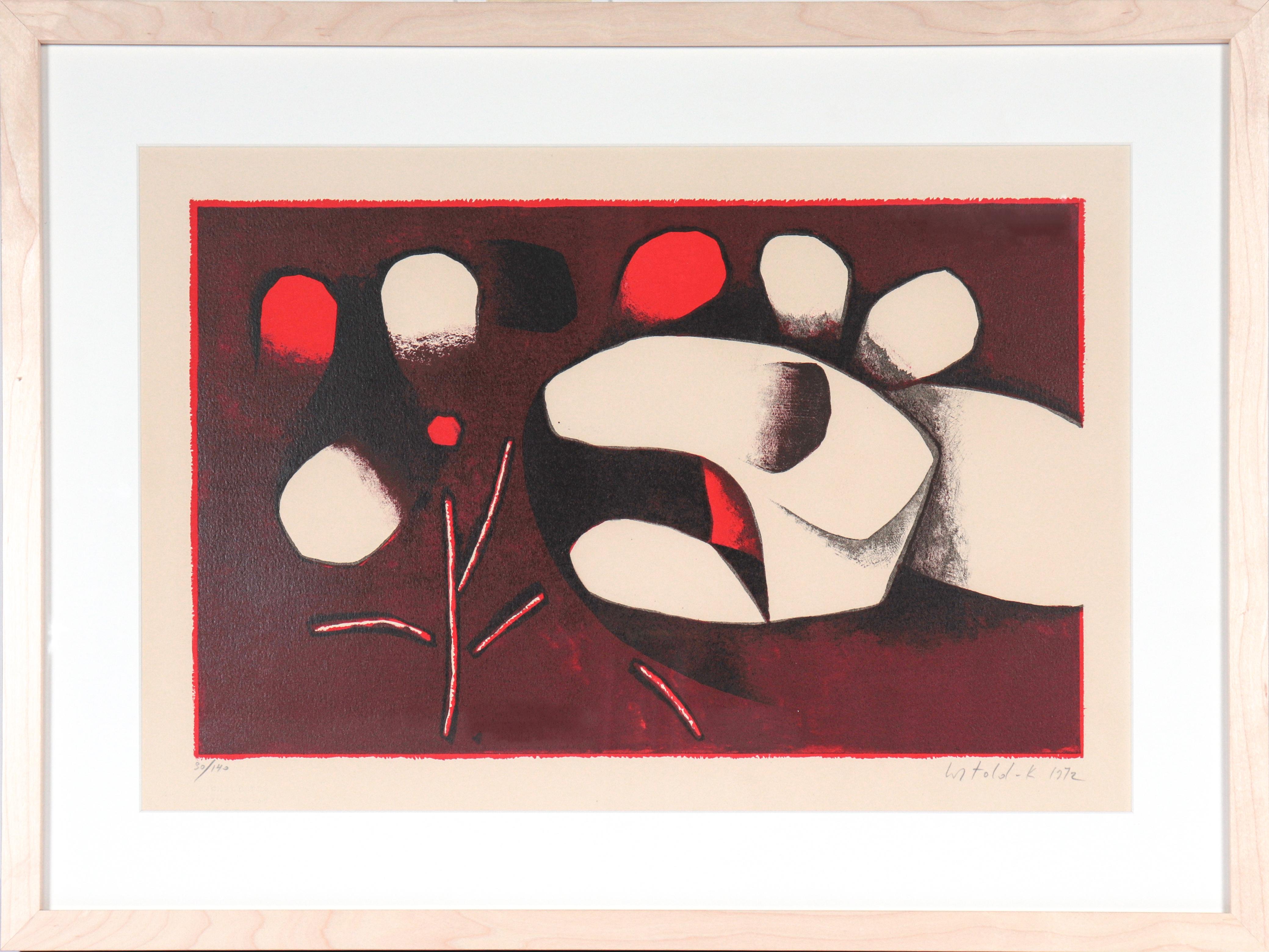 Abstract Print di Witold K - Forme organiche astratte 1972 Litografia