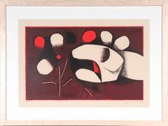 Forme organiche astratte 1972 Litografia