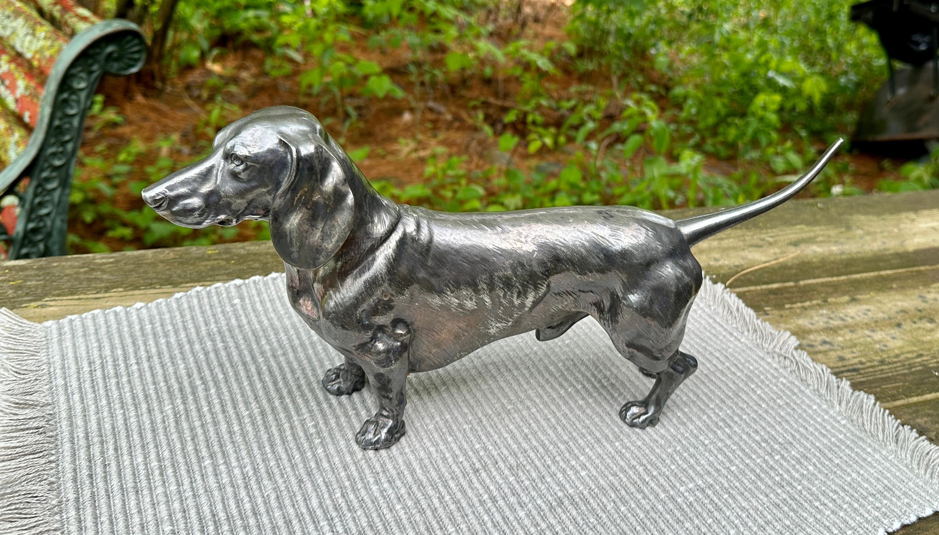 WMF Silverplate Dachshund Dog Figure Monumental 14 Inch Rare Circa 1880 en venta 1