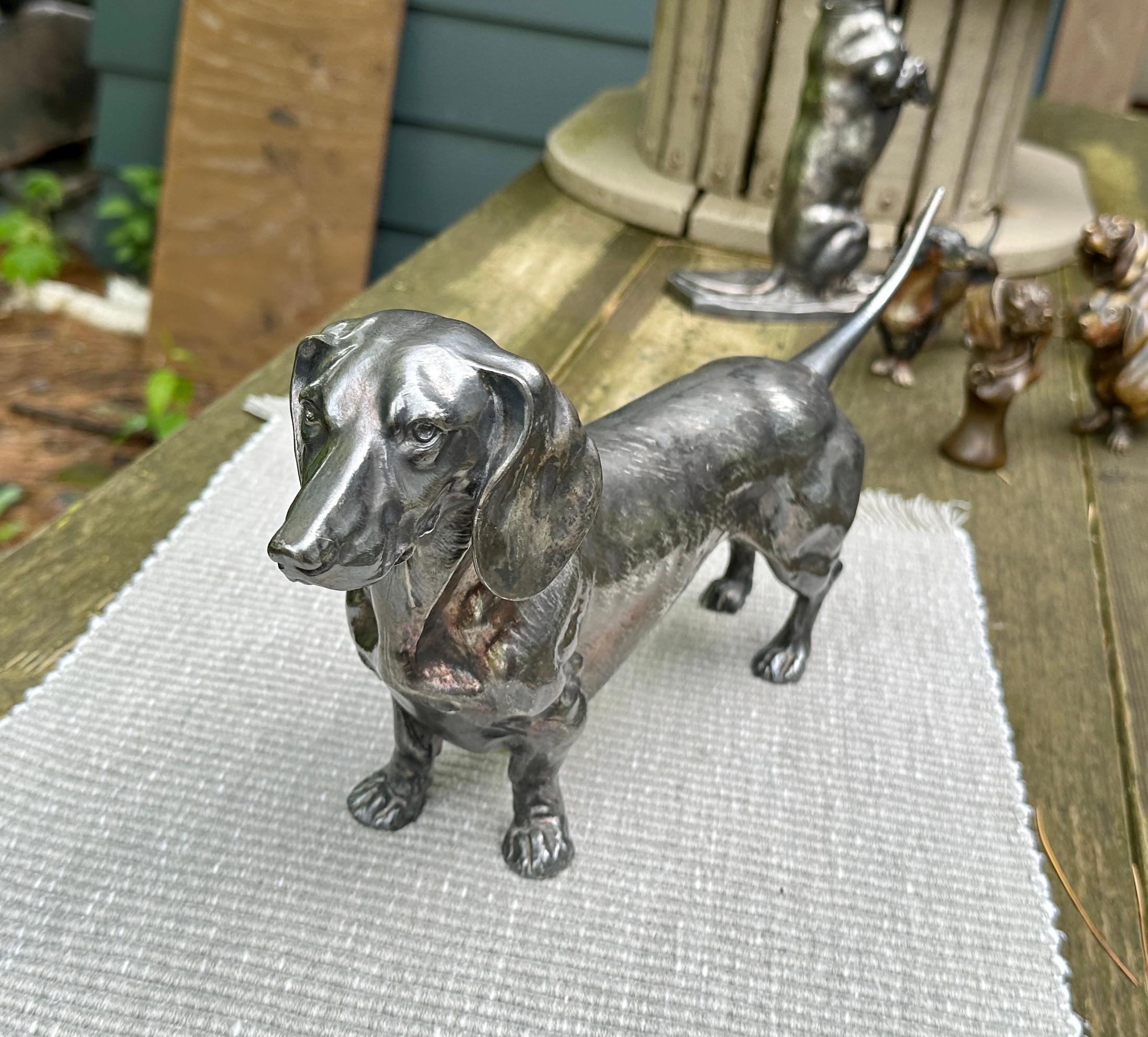 WMF Silverplate Dachshund Dog Figure Monumental 14 Inch Rare Circa 1880 en venta 2