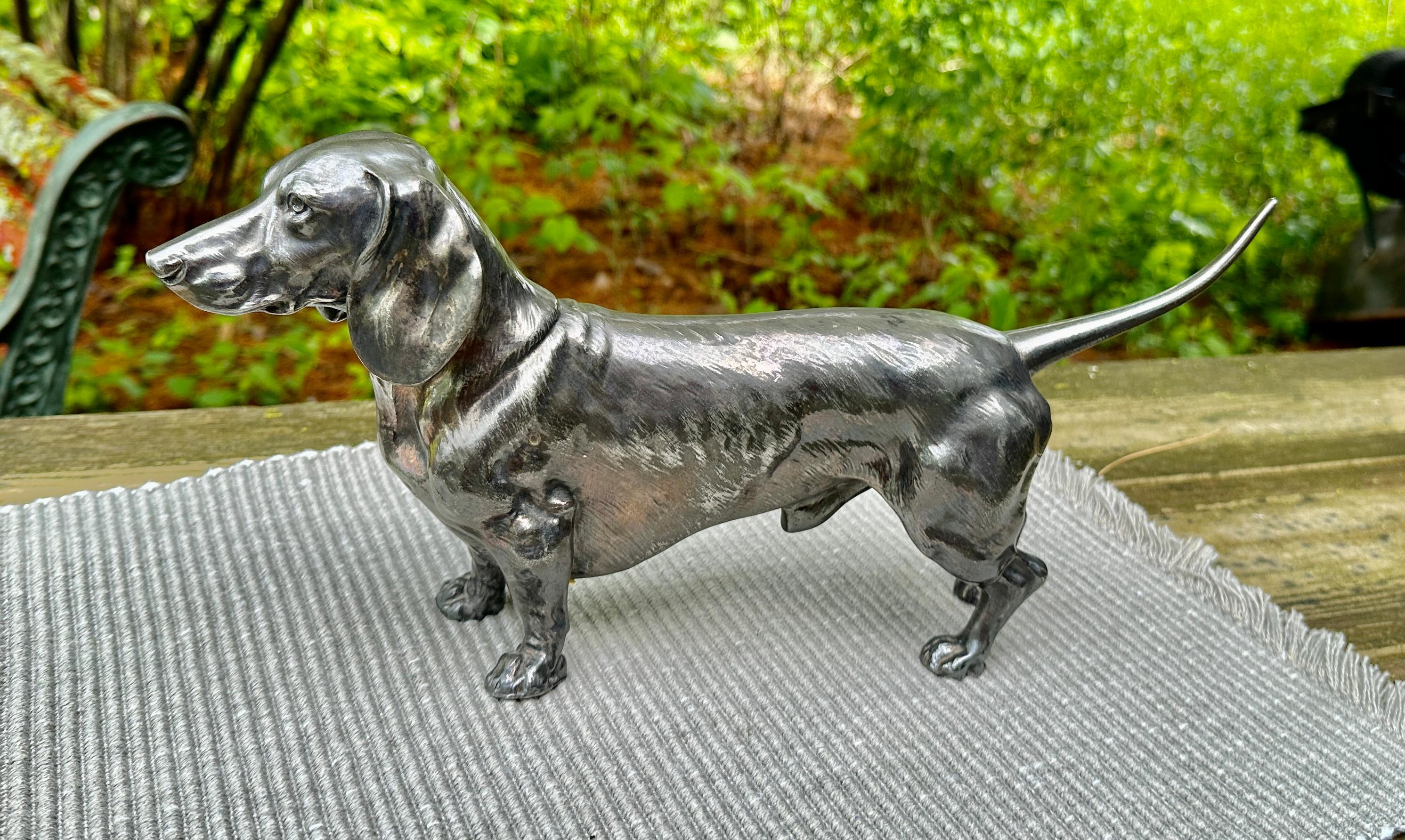 WMF Silverplate Dachshund Dog Figure Monumental 14 Inch Rare Circa 1880 en venta 3