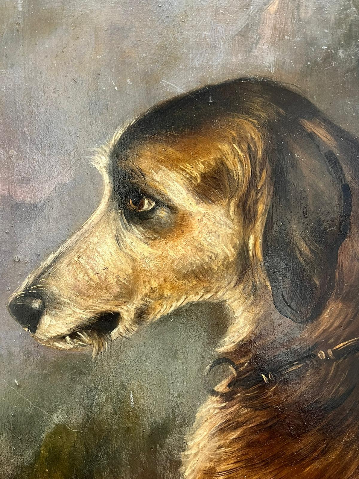 Victorian Dog Painting English Artist Head Portrait of a Hound 1893, signed oil