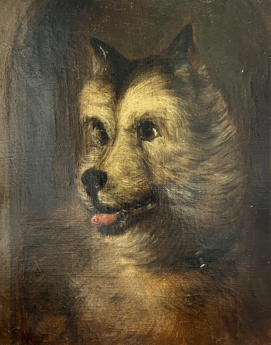 Viktorianisches englisches Hundegemälde, Öl auf Leinwand, Kopfporträt eines Terriers