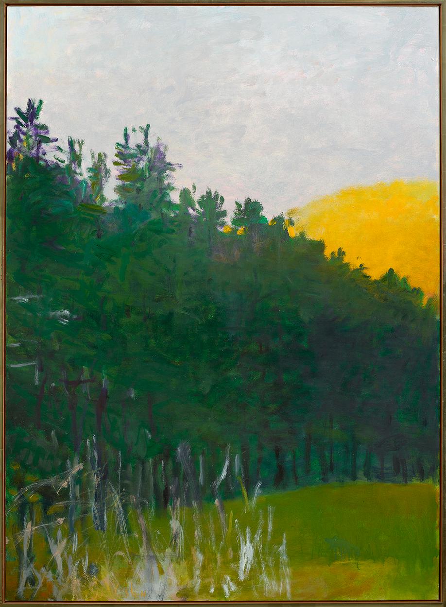 Sunlit Hill, 2006 - Painting by Wolf Kahn