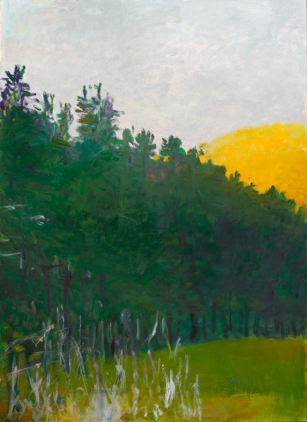 Wolf Kahn Landscape Painting - Sunlit Hill, 2006