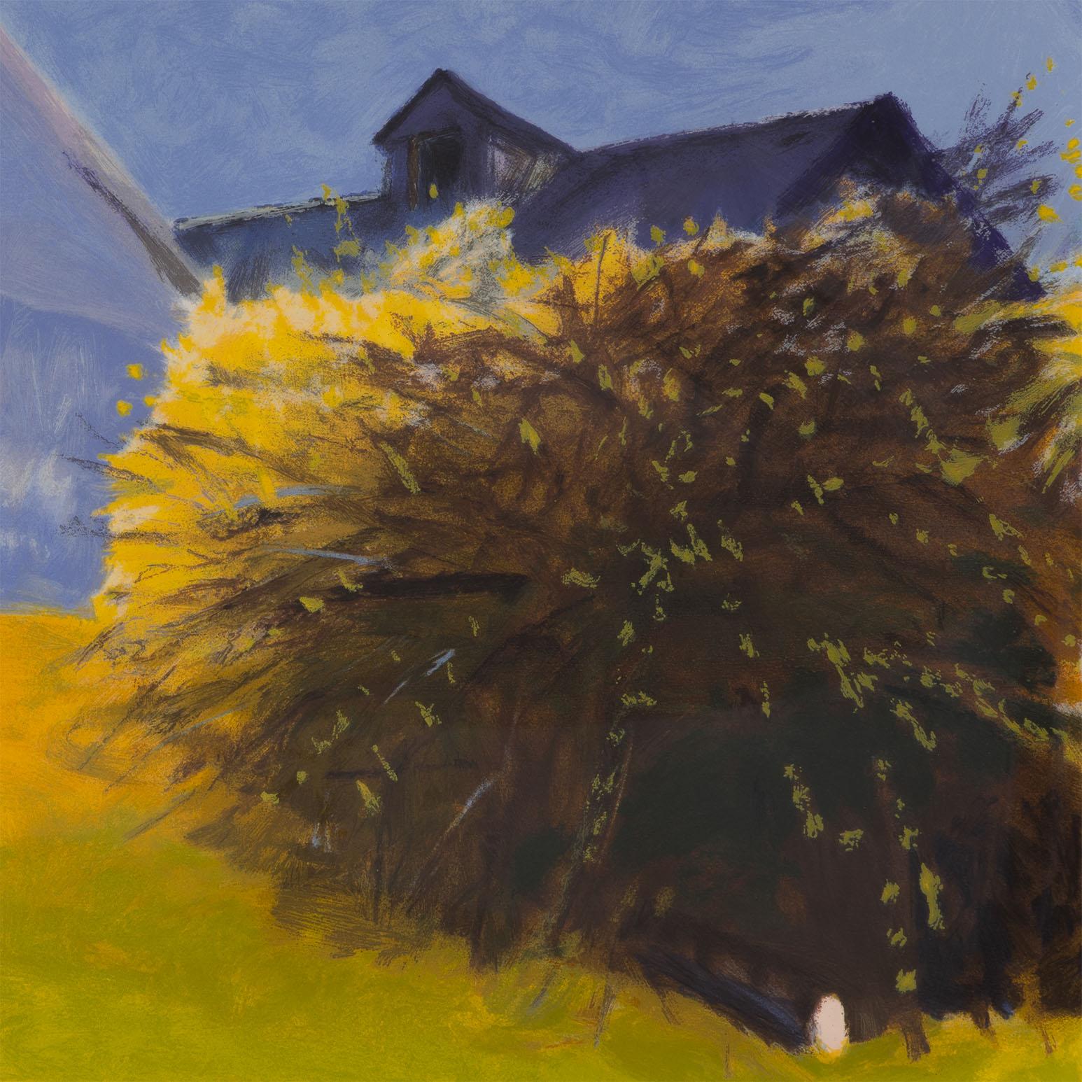 Barn and Forsythia III im Angebot 1