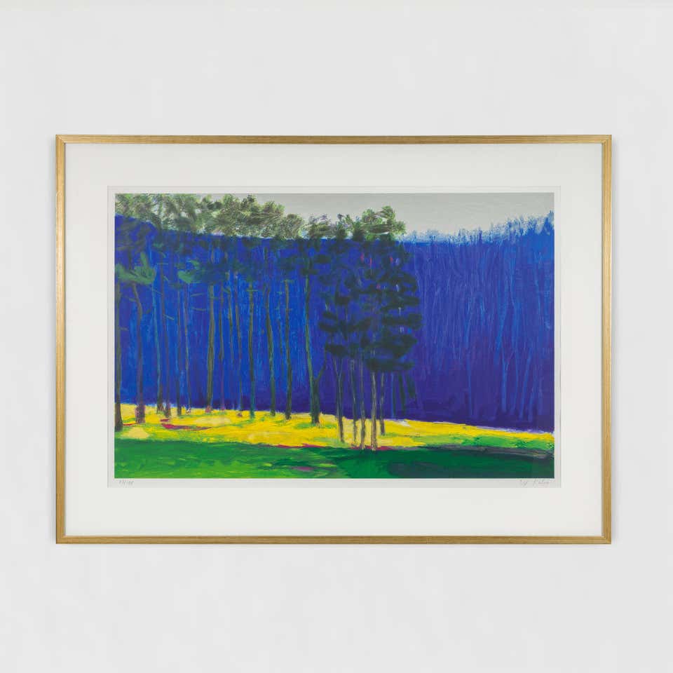 Dark Pines