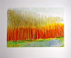 Orange Behind the Trees (with letter of authenticity from Museum Director)