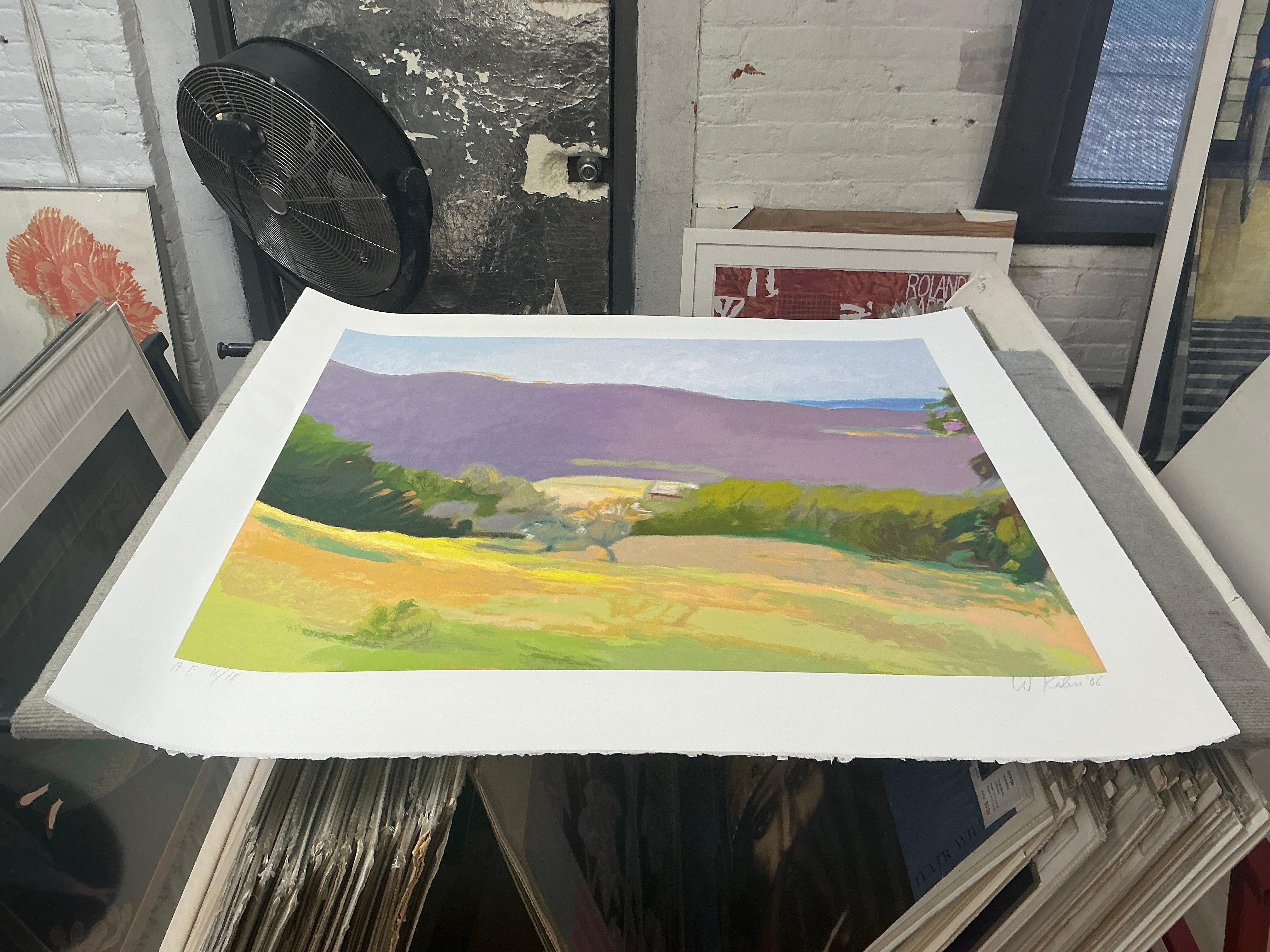 Wolf Kahn 'Down in the Valley' 2003 Sérigraphie signée et numérotée en vente 5