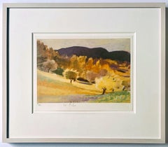 Wolf Kahn - Hillside in Early Summer, print for the UN, Pencil Signed/N, Framed