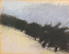 Pastel sur papier "Row of Trees" de Wolf Kahn
