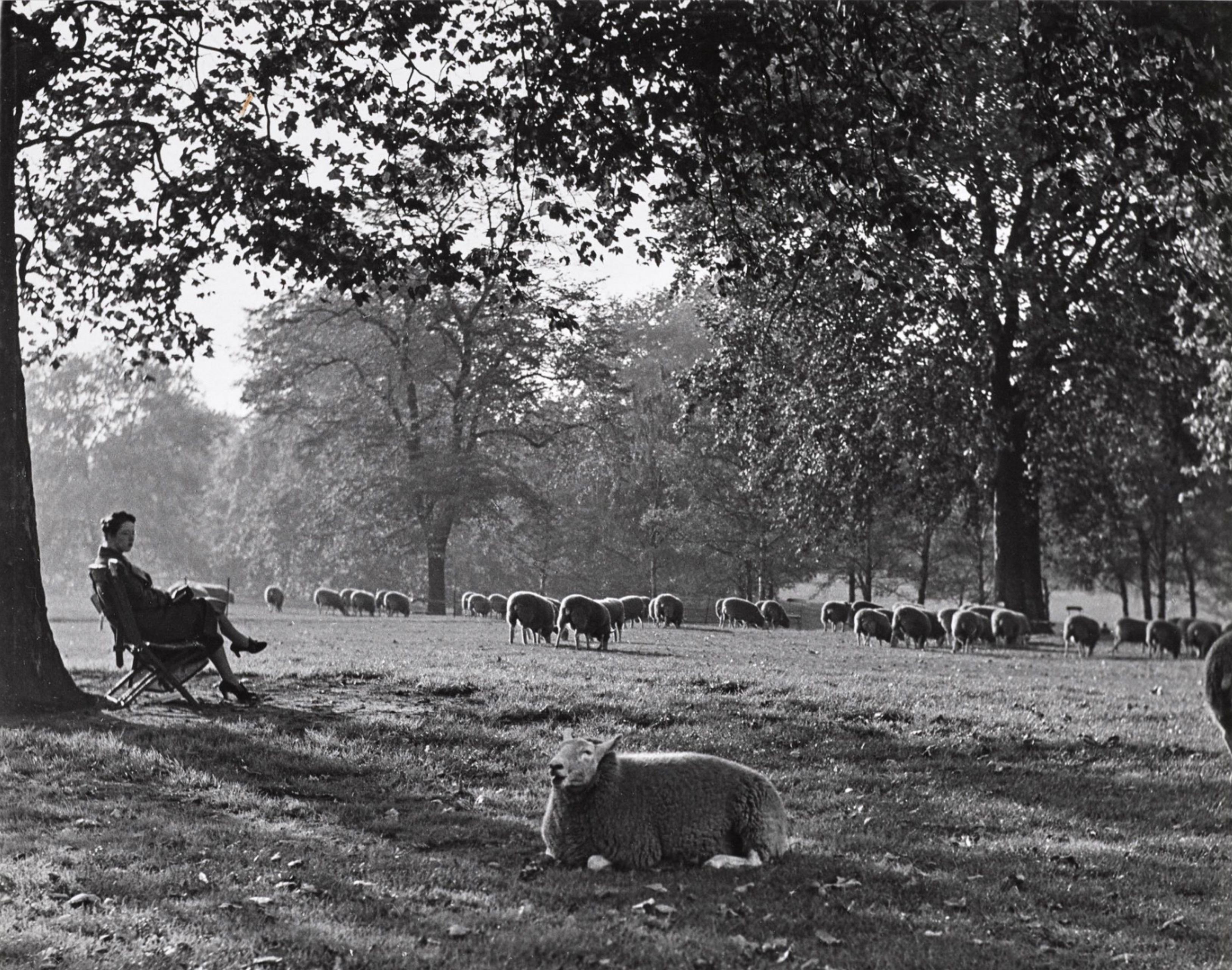 Wolfgang Suschitzky Landscape Photograph – Hyde Park, London, 1934