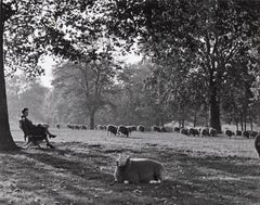 Hyde Park, Londres, 1934