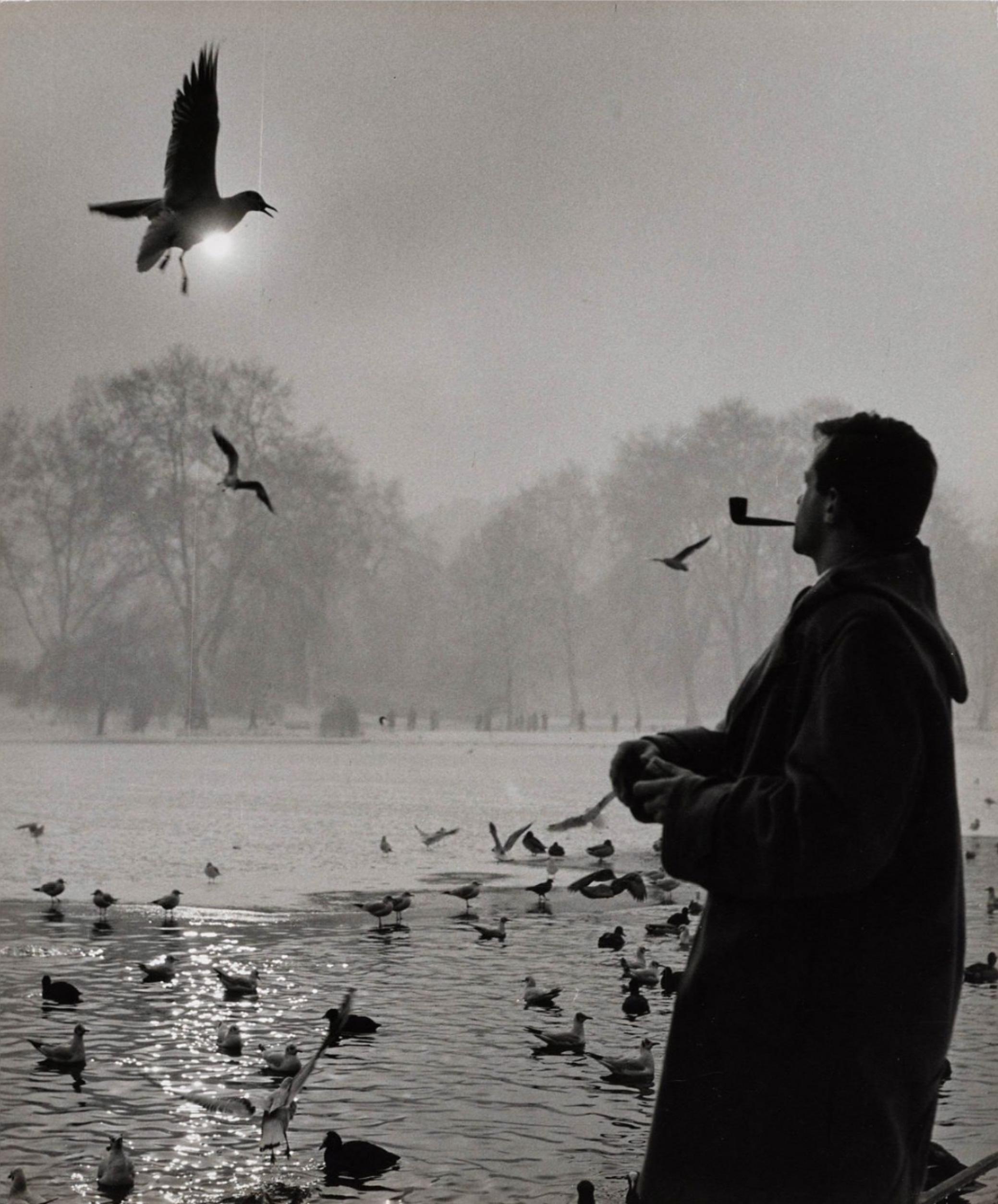Wolfgang Suschitzky Black and White Photograph - St. James's Park, London, 1962