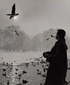 Vintage St. James's Park, London, 1962