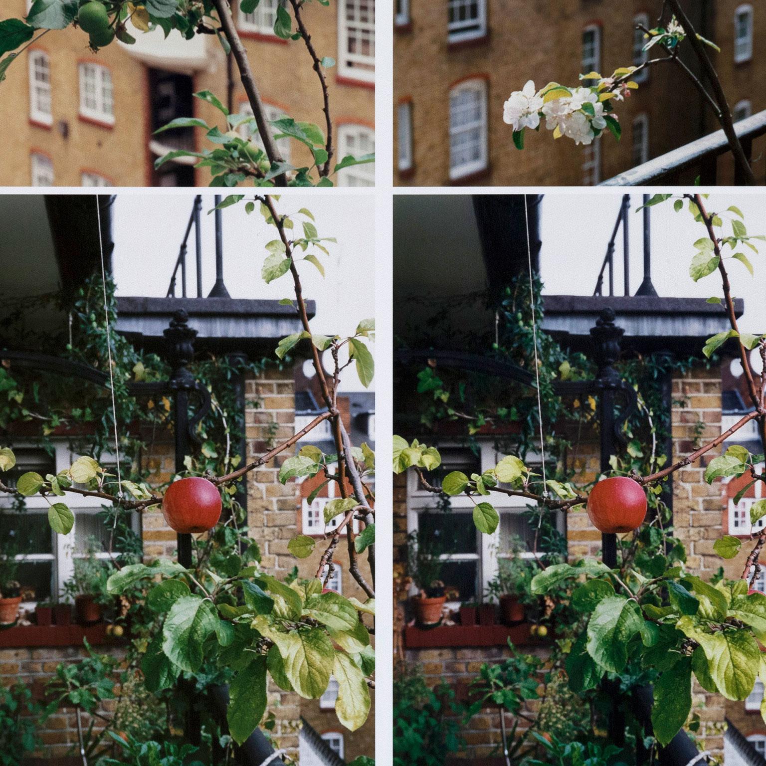Wolfgang Tillmans (nato nel 1968) è uno degli artisti più venerati e collezionati che lavorano con la fotografia, sovvertendone regolarmente i parametri. 

Tillmans è un degno successore di Nan Goldin. Le sue immagini, spesso più astratte, informali