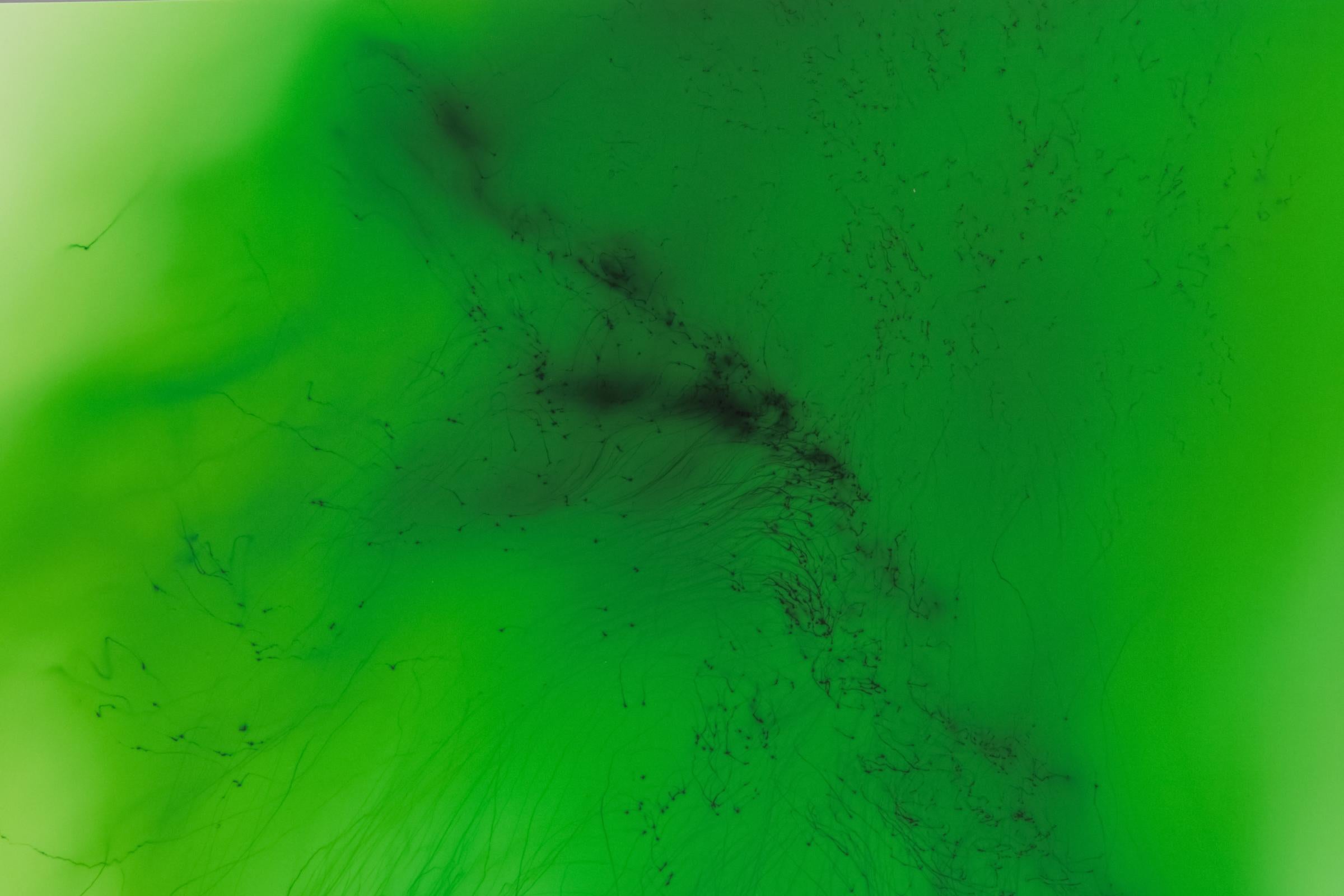 Wolfgang Tillmans Freischwimmer TfL - Impression signée, photographie abstraite 5