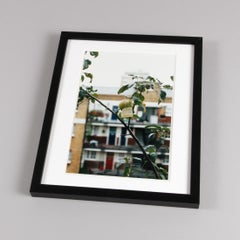 Wolfgang Tillmans, Please leave this one