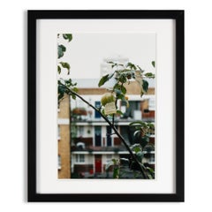 Wolfgang Tillmans, Please leave this one