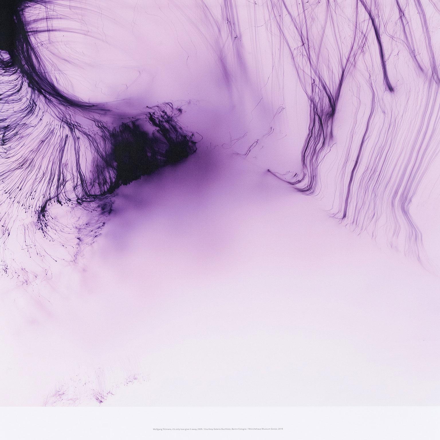 wolfgang tillmans artwork