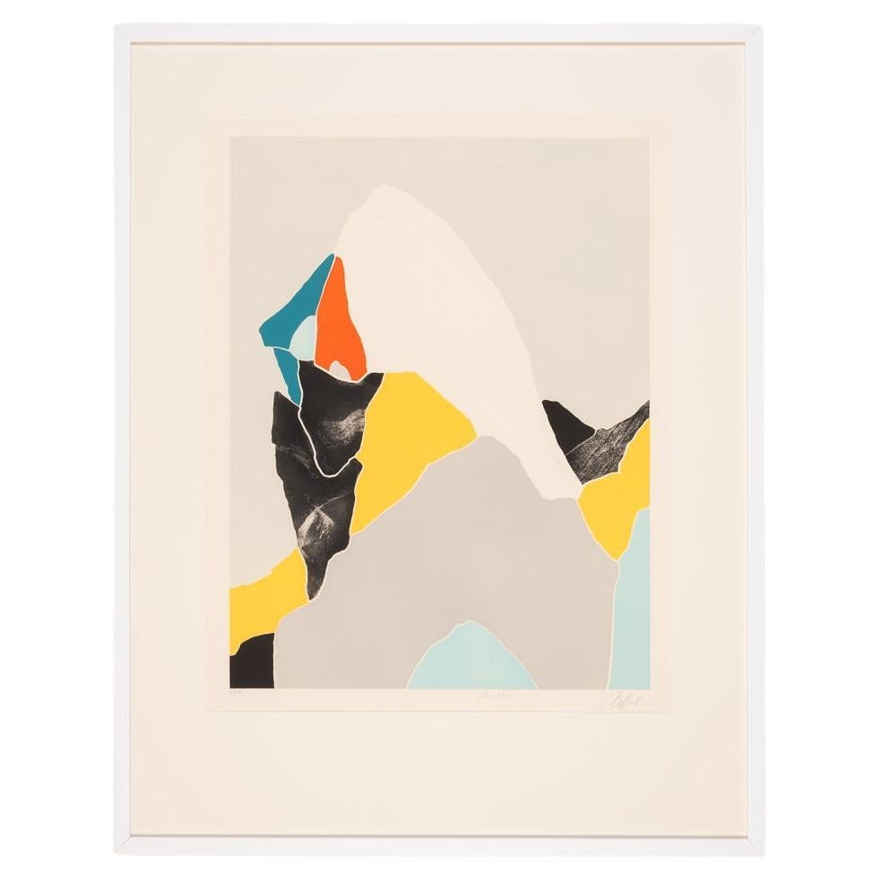  Woman in Profile Etching on Paper Colorful Abstract Printing Bright Framed For Sale