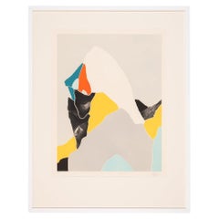  Woman in Profile Etching on Paper Colorful Abstract Printing Bright Framed
