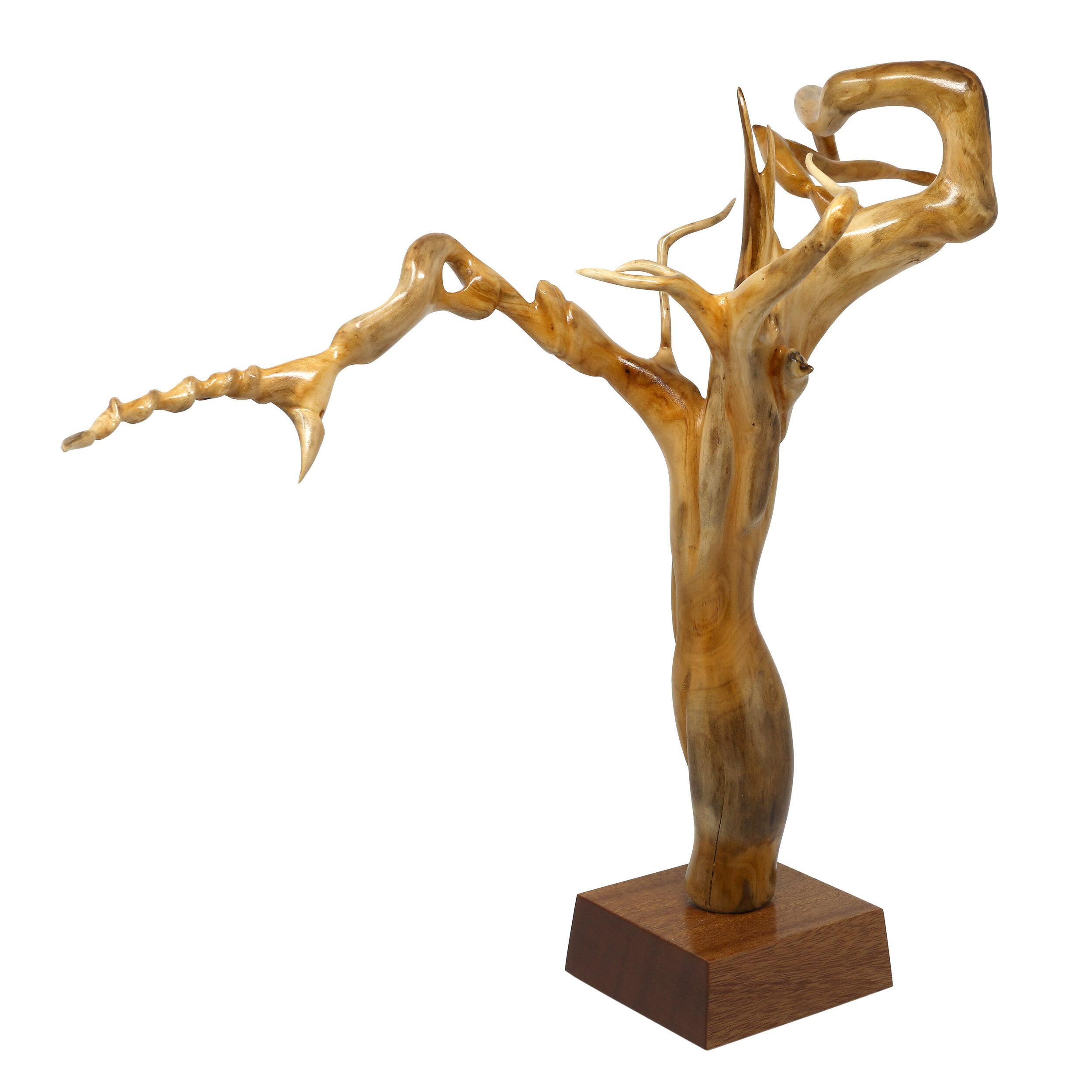 Original, carved by hand, wood sculpture

2021

Carved driftwood on an African mahogany base

Measures: 16.5 x 20.5 x 8 in / 42 x 52 x 20 cm.