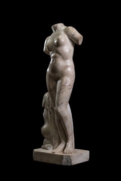 Woman's Torso in White Marble