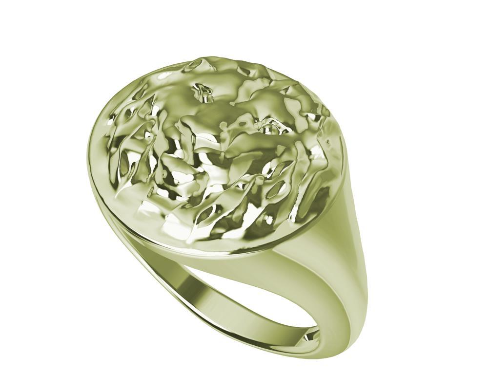 For Sale:  Women's 10 Karat Green Gold Lion Head Signet Ring 3