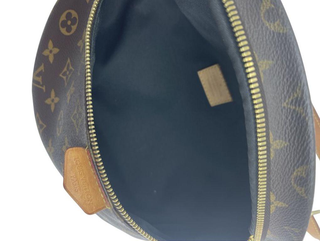 Womens Designer Louis Vuitton Bum Bag For Sale 2