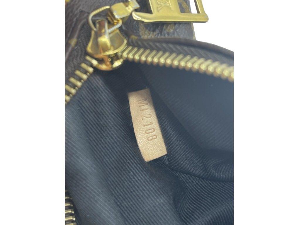 Womens Designer Louis Vuitton Bum Bag For Sale 4