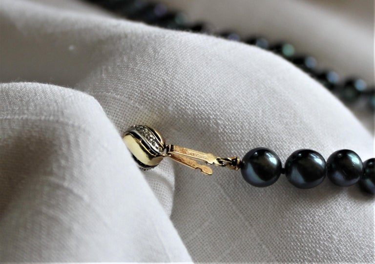 Women's Tahitian Black Pearl Necklace with a 14 Karat Gold Ball Clasp