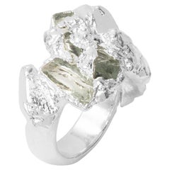 Wonder Sapiens 14 Hand-Sculpted Ring in Silver-Plated Bronze by Marion Fillancq