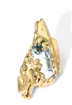 Wonder Sapiens 2 Paar Ohrringe aus 24 Karat vergoldeter Bronze von Marion Fillancq