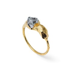 Wonder Sapiens 4 Hand-Sculpted Ring in 24k Gold-Plated Bronze by Marion Fillancq