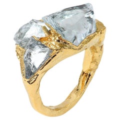 Wonder Sapiens 7 Hand-Sculpted Ring in 24k Gold-Plated Bronze by Marion Fillancq