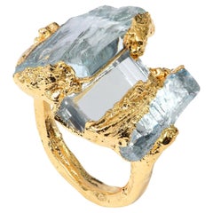 Wonder Sapiens 9 Hand-Sculpted Ring in 24k Gold-Plated Bronze by Marion Fillanc