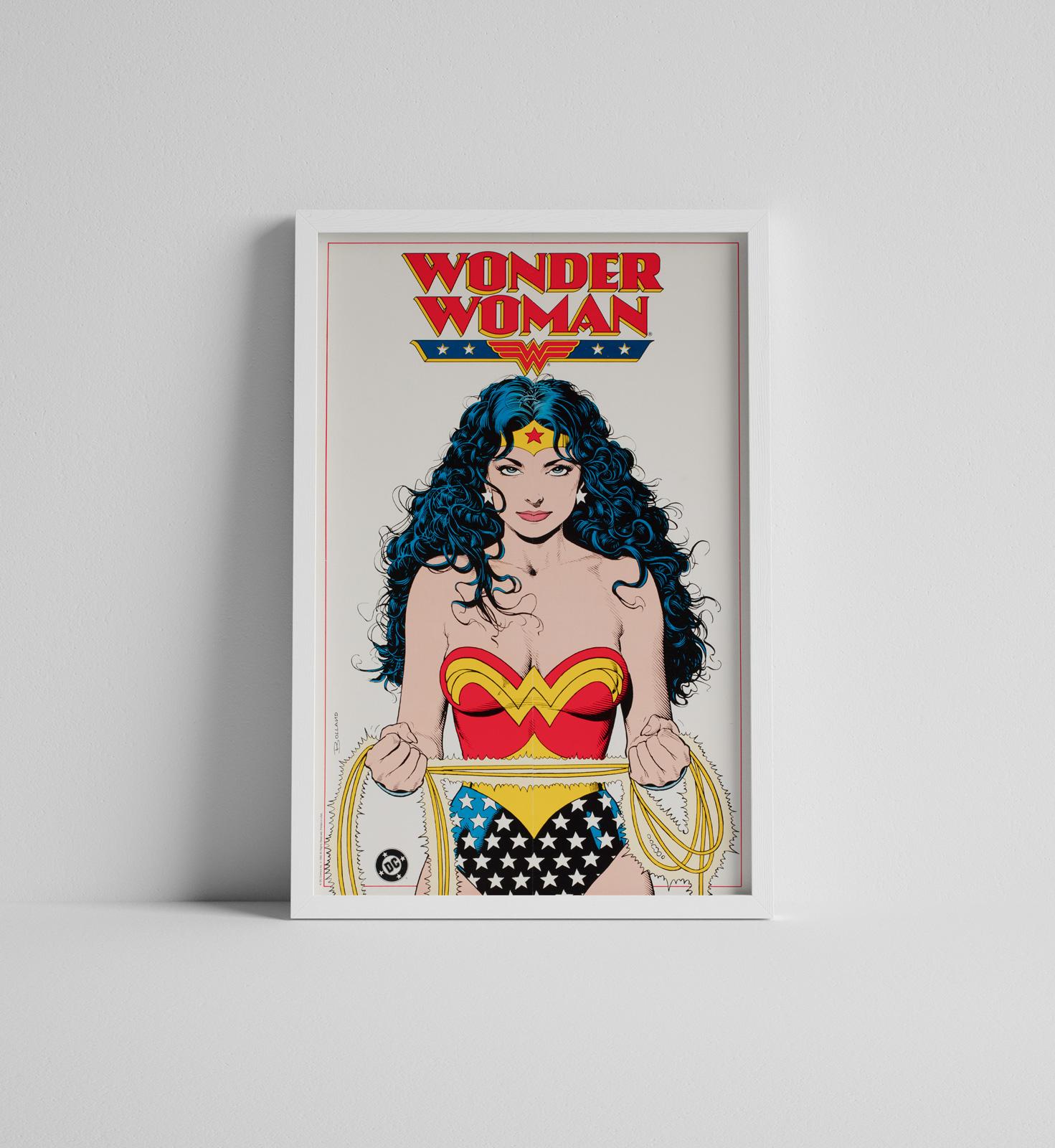 Fantástico póster promocional original de 1992 para Wonder Woman de DC Comics con ilustraciones de Brian Bolland.

Este póster vintage tiene un tamaño de 14 1/2 x 22 1/4 pulgadas (más un par de más por el lino).  Se enviará enrollada (sin enmarcar).
