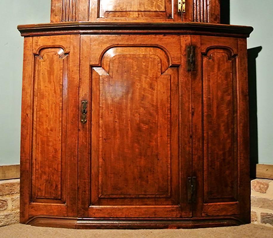 With a spectacular color, this 18th century figured mahogany corner cupboard was made by a skilled cabinet maker in circa 1790.

The upper case with three fixed and shaped shelves, the lower case with two larger fixed shelves. Very thick mahogany