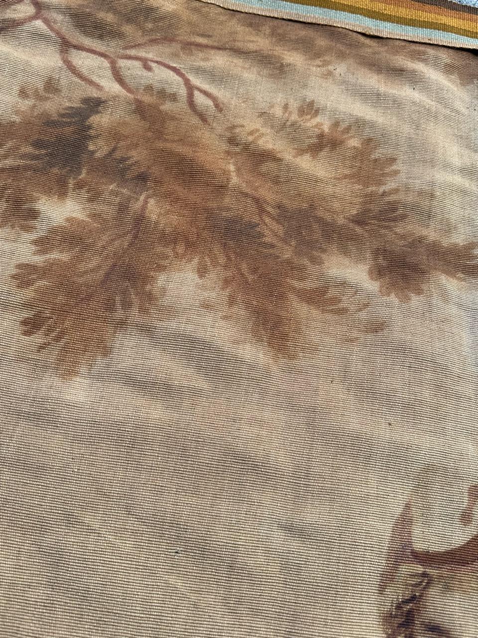 Wunderschöner französischer Aubusson-Wandteppich, handgedruckt und bemalt, 19. Jahrhundert im Angebot 7