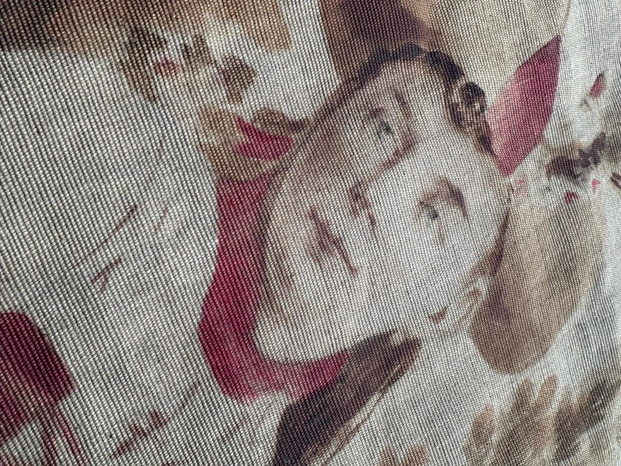 Wunderschöner französischer Aubusson-Wandteppich, handgedruckt und bemalt, 19. Jahrhundert im Angebot 3
